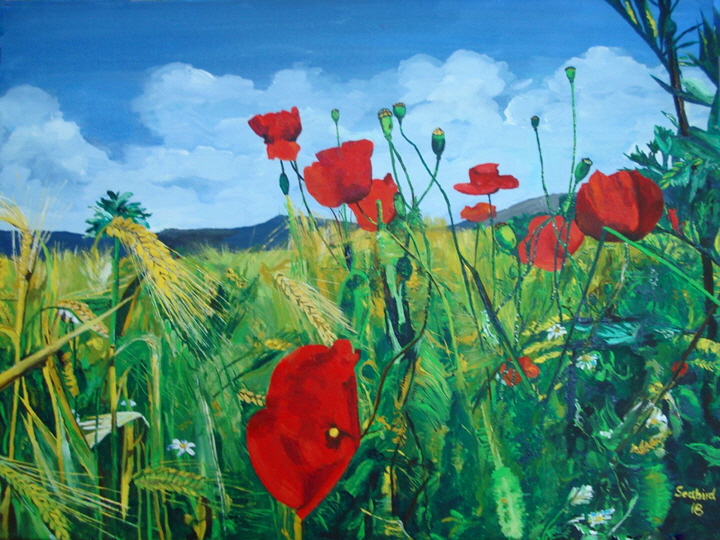 2018 Cornfield with Poppies 61x46 cm, Acrylic-B720 2018 Cornfield with Poppies 61x46 cm, Acrylic-B720
