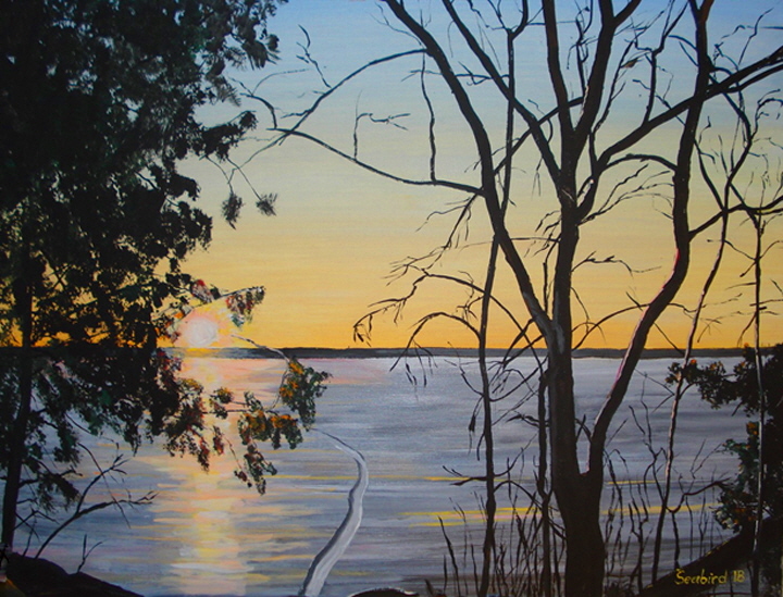 Seabird - Sunrise in late Winter (2018)-2 Kopie Seabird - Sunrise in late Winter (2018)-2 Kopie