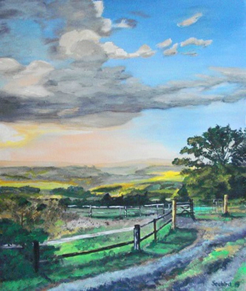 Seabird-2019 Country Side-H600