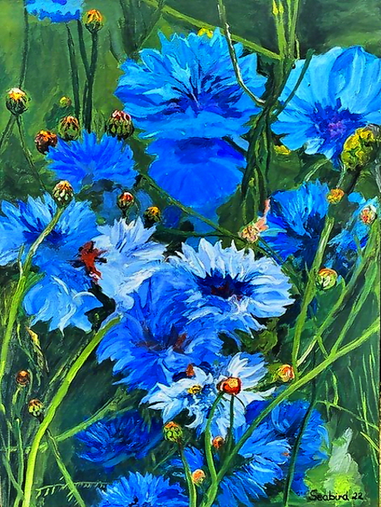 22-07-Seabird 2022-Blaue Blumen, color5-2-H720 22-07-Seabird 2022-Blaue Blumen, color5-2-H720